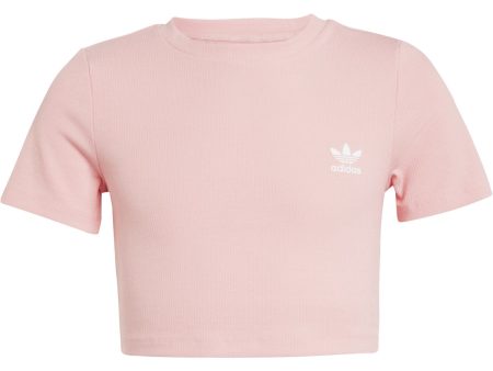 adidas Originals Semi Pink Spark Rib Crop Tee Supply